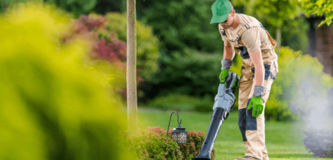 How-much-does-Garden-Cleaning-Cost-in-Sydney